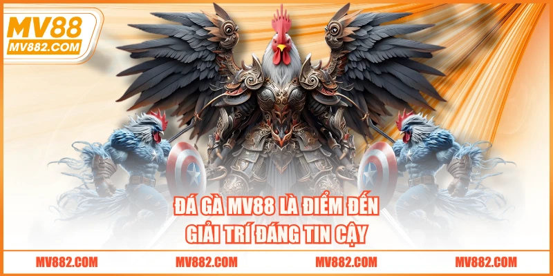 Đá gà MV88 là điểm đến giải trí đáng tin cậy